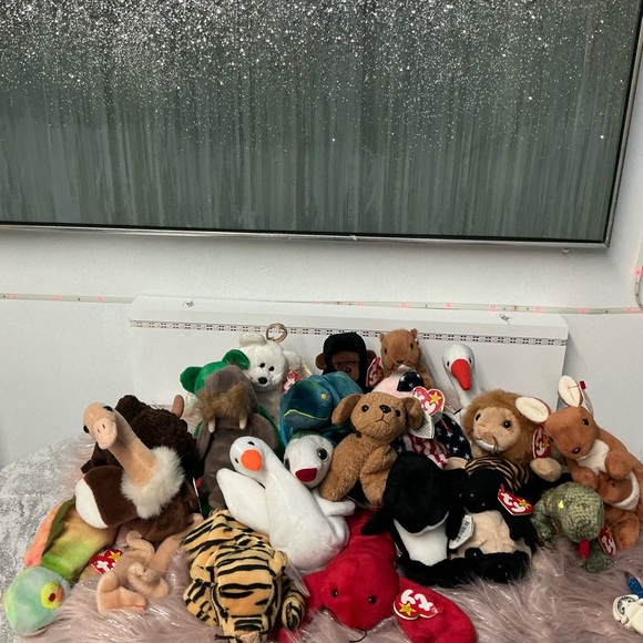 Ty Plush Toy Collection from the 90s to the 2000s (new)
